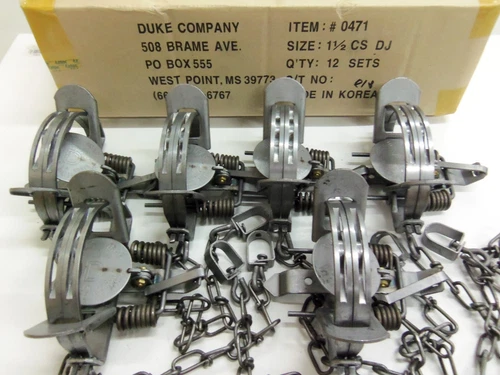 6 Duke # 1 1/2 Double Jaw Coil Spring Traps 0471 Raccoon Mink Fox Trapping