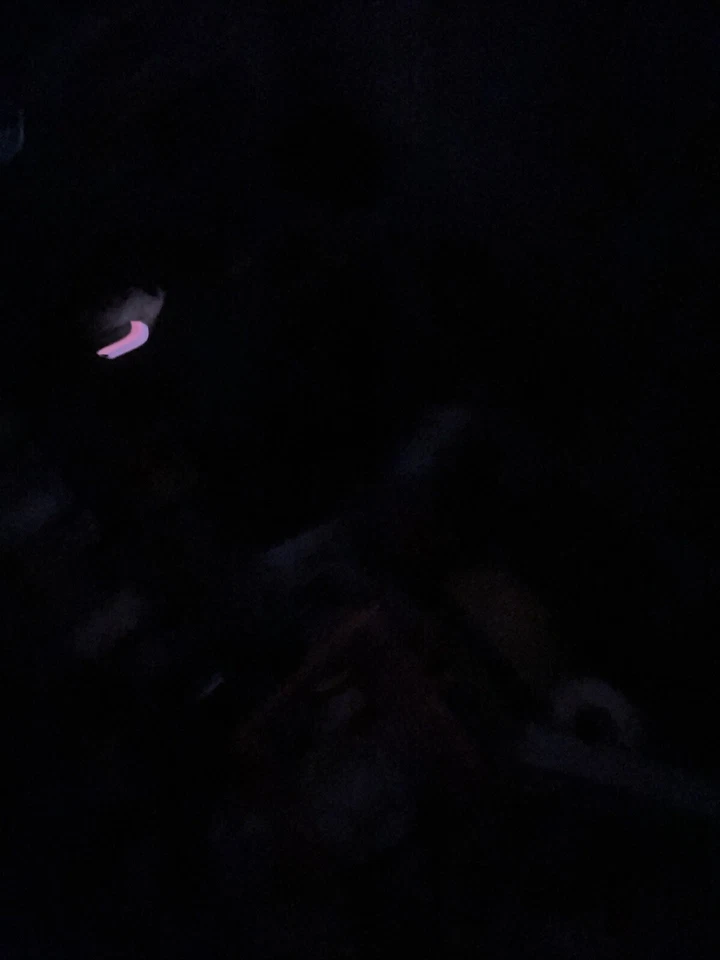 Complete CHINESE ART:PAINTING PART 15 : DUNHUANG MURALS PART 2 Book - Image 4 of 4