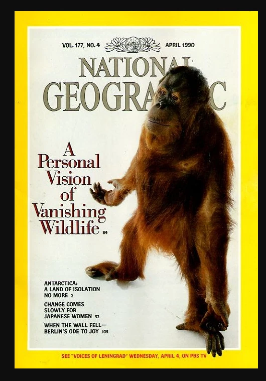 National Geographic Magazines in Japanese for sale | eBay