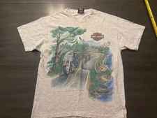 Vintage Harley-Davidson Life’s Open Road Grey Size Large Texas Rio Grande *Read