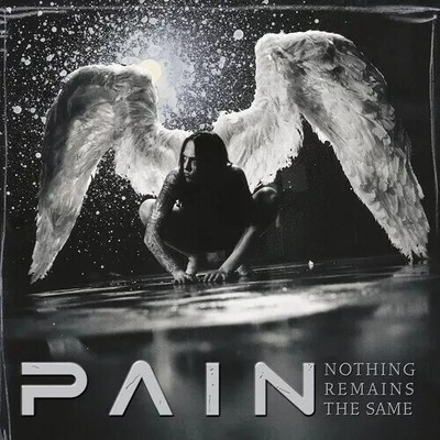 PAIN   Nothing Remains the Same CD Melodic Industrial Metal Masterpiece