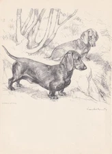 1938 DACHSHUND DOG Print - Antique Print - Wall Art Gift - 9.75 x 7.15 Inches