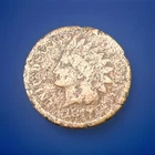 1877-P KEY DATE Indian Head Small Cent Coin Grades About Good