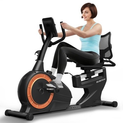 Recumbent Exercise Bike, Recumbent Stationary Recumbent 350LBS Weight Capacity