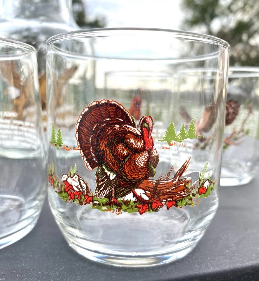 VINTAGE LIBBEY SUNOCO AMERICAN WILDLIFE 90’s ROCK BARWARE ~ Set of  4 ~ - Image 4 of 4