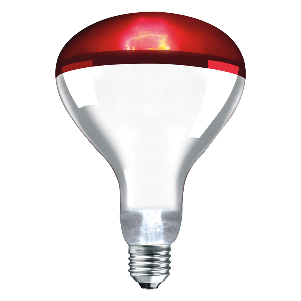 250 Watt ES  INFRARED LAMP ES Screw Cap Crompton Hard Glass E27 Ruby 250W