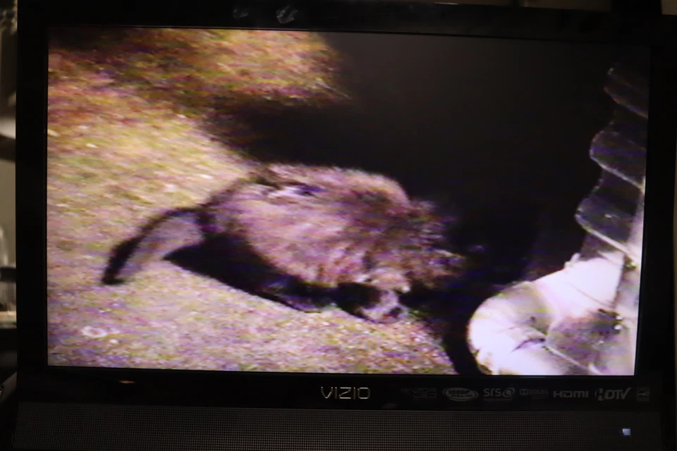 JVC HR-J692U VCR VHS Player Recorder Hi-Fi Stereo - Image 2 of 4