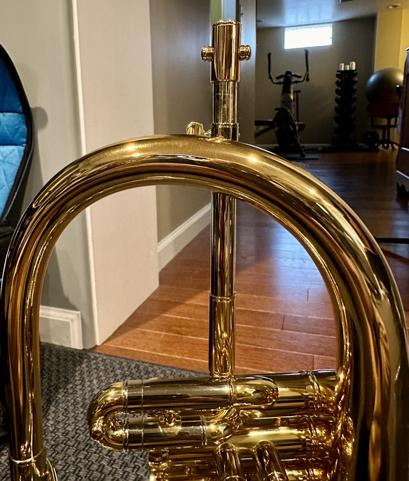 Adams Sonic Flugelhorn in Beautiful Gold Lacquer Amazing Professional