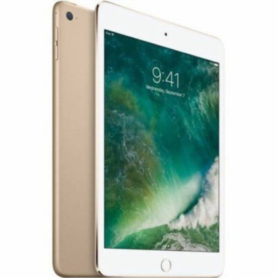 iPad Mini 4 Space Grau WLAN Cellular 64GB A1550 Leerkarton