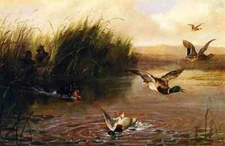 Oil painting Arthur-Fitzwilliam-Tait-Duck-Shooting dog hunter landscape canvas