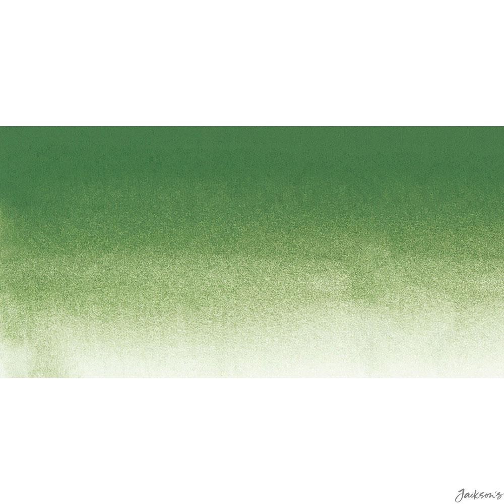 Sennelier L'Aquarelle Watercolour Paint Half Pan Chromium Oxide Green Landscape