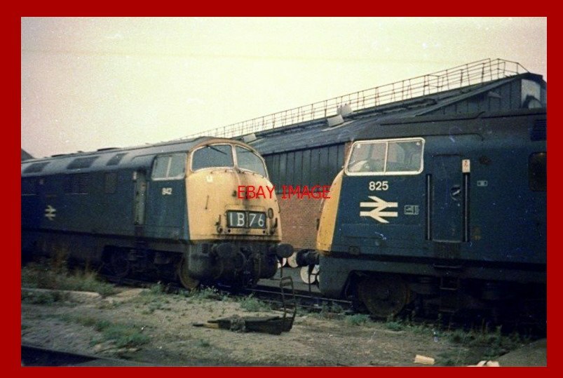 PHOTO BR WARSHIP CLASS LOCO NO D825 INTREPID AND D842 ROYAL OAK | eBay UK