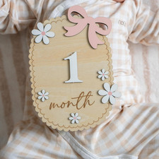 Baby Monthly Milestone Sign,1-12 Monthly Baby Milestone, Month Milestone Baby...