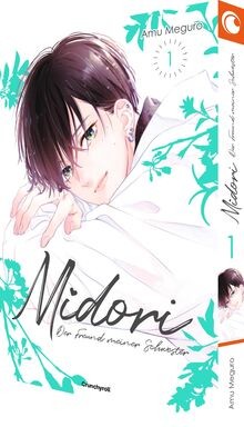 Midori   Der Freund meiner Schwester   Band 1 von M... | Buch | Zustand sehr gut
