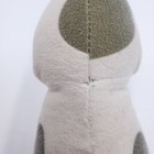 Bild 5 von 6