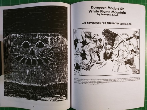 S1-4 Dungeons of Dread - Softcover - Super Module - Dungeons & Dragons - Imagen 13 de 23