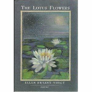 Ellen lotus anal