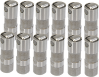 12 VentilstößEl HydrostößEl Valve Lifter FüR Volvo Penta 5.0G 5.7G 856397 385612