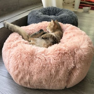 big cat bed