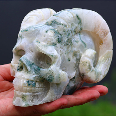 1.21kg Natural Aquatic agate Sheep Skull Carving Reiki Crystal Skull Decor heal