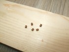 Bild 3 von 4
