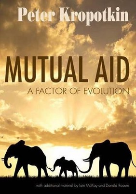 Peter Kropotkin Donald Rooum Iain McKay Mutual Aid (Taschenbuch)