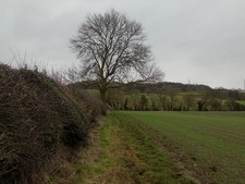 Photo A3 Footpath heading for Blackhill Beck Knayton The right of way fo c2018