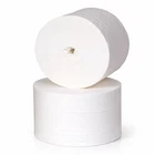 Coreless Toilet Rolls 2 Ply White Case of 36 Rolls