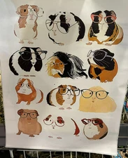 Canvas Print Guinea Pig Art 12 x 16 Glasses Optometrist Eyes Posing Assortment H