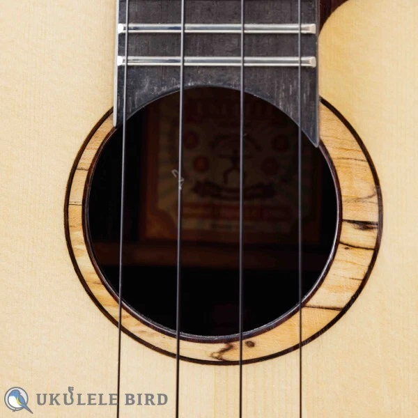 NEW aNueNue aNN-UC200 Concert Ukulele Uke Instrument from Japan - image 2 of 4