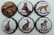 Série de 6 Capsules de