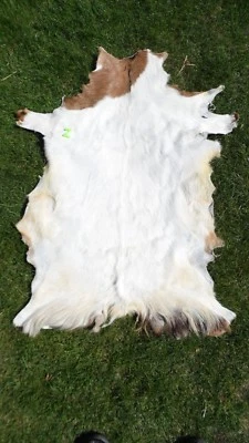 Ziegenfell * Goatskin Leather * Ziege * Teppich * Läufer * Kamin Deko - Bild 1 von 4