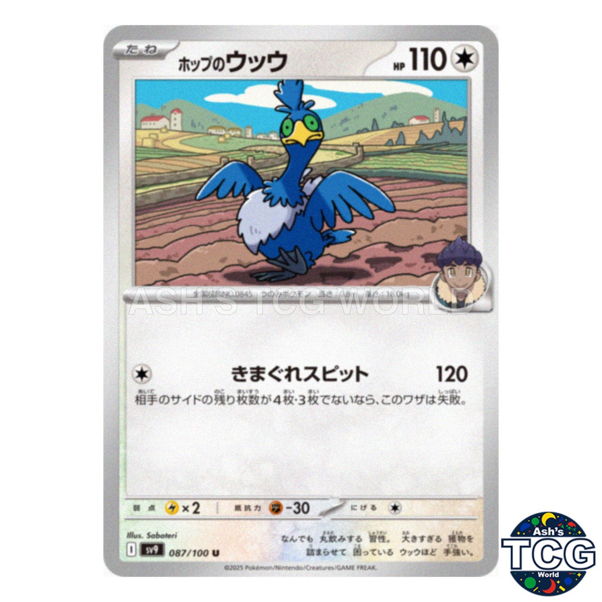 Hop's Cramorant U 087/100 SV9 Battle Partners Pokemon Card Japanese