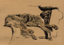 IRISH WOLFHOUND DOG GREETING CARD BEAUTIFUL DOG SLEEPS ON SETTEE NOTE CARD