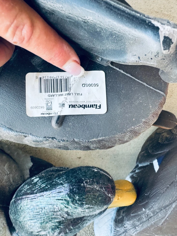 12 Flambeau Duck Decoys.  Never used, in box.  Classic Mallard Weighted keel  - Image 4 of 4