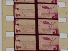 REG 8mm film: BUGS BUNNY - WABBIT TROUBLE - UNSPLIT DOUBLE PRODUCTION REEL -RARE — photo 5