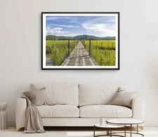 Thailand Field Print, Wall Art, Bridge Framed Field Wall Art, Rice Field