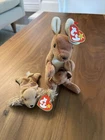 Ty Beanie Baby Pouch Kangaroo Spunky  Cocker Spaniel Plush Retired Vintage TAG ✨