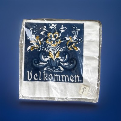 Bergquist Imports Velkommen Floral Paper Beverage Napkins 2-Ply, 16 Pack