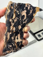 Roan Leopard Marble Rough Slab Cabbing Lapidary Combo Ship Avail