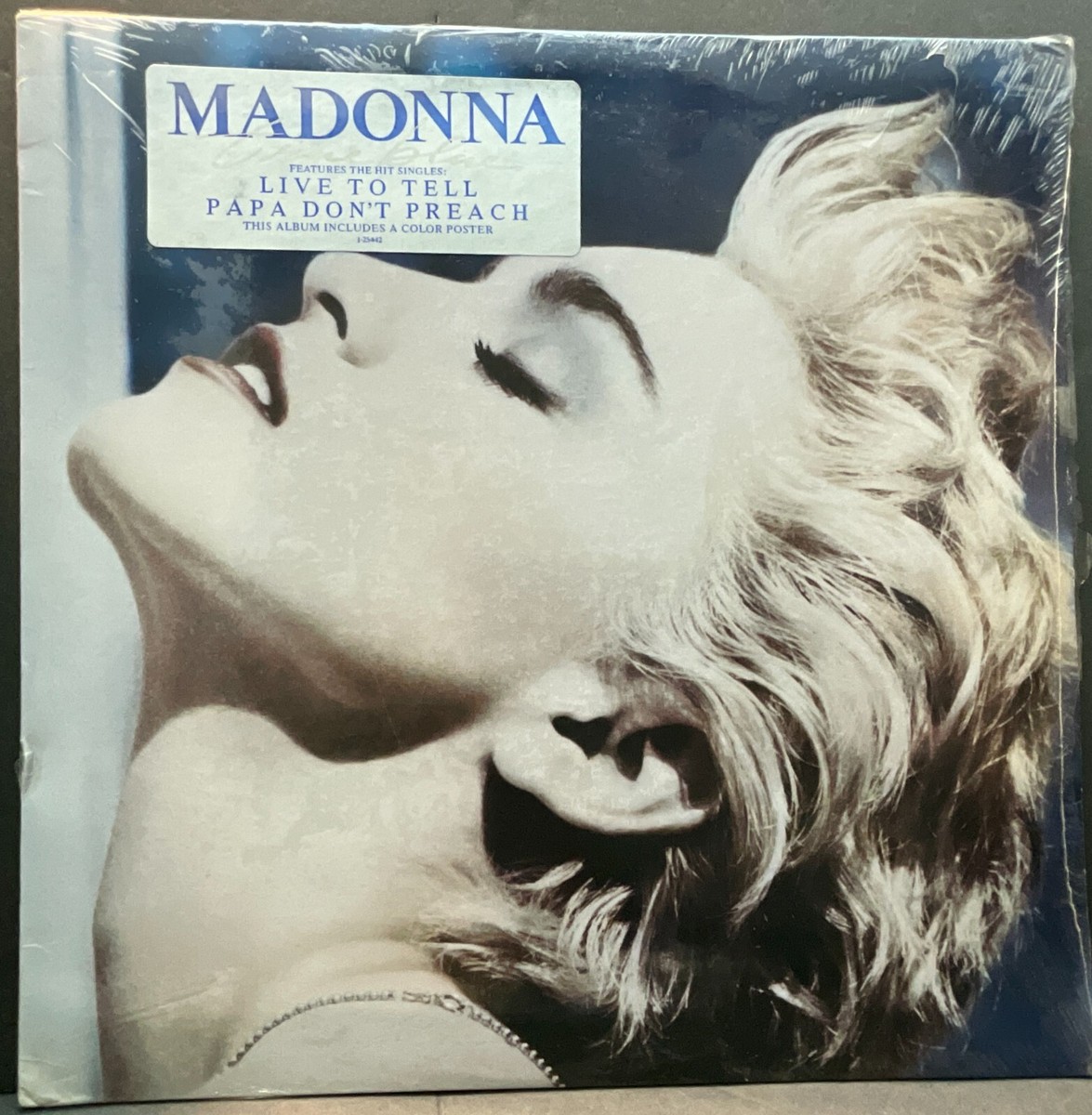 Madonna, True Blue, Vinyl LP, VG+ | eBay