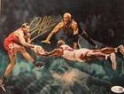 Dennis Rodman Signed METALLIC Photo 8x10  NWO Bulls Worm Autograph HOF JSA HOGAN