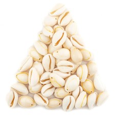 Beige Drilled Cowrie Shells Large 13mm White Unusual