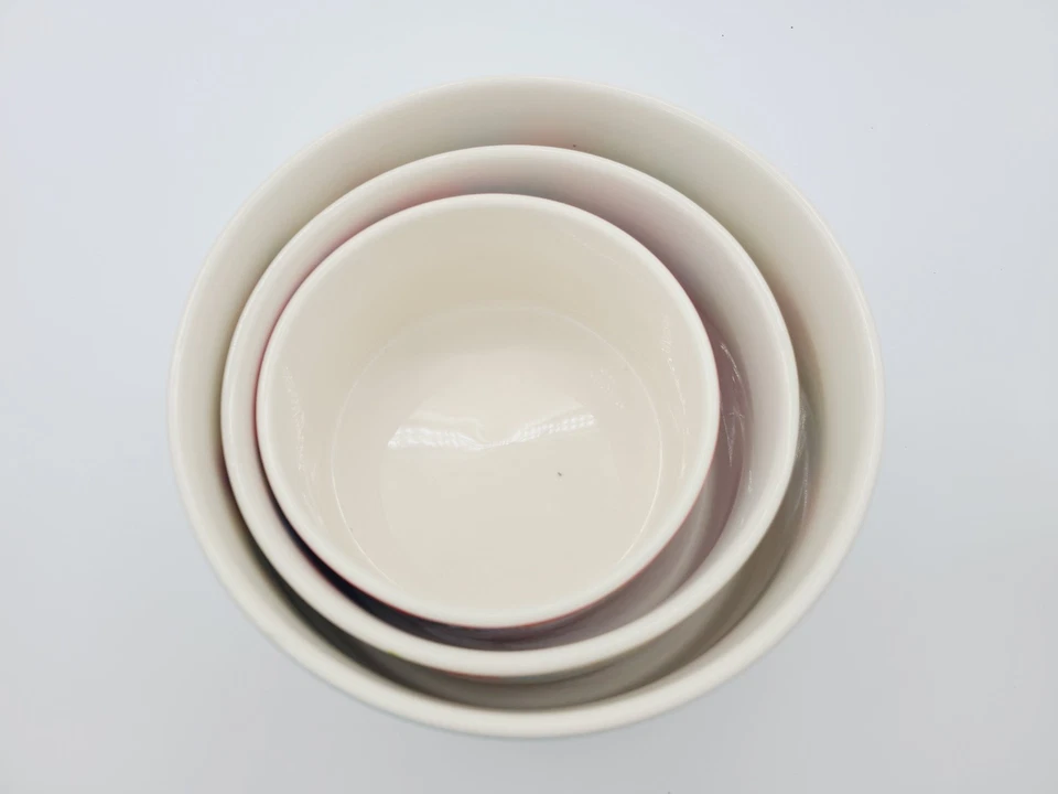 Juego de 3 cuencos de gres The Pioneer Woman Spring Bouquet China Foto 4 de 4