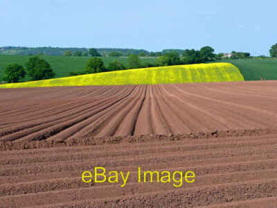 Photo 6x4 One week after the preparation Bromsash A virtually identical v c2008