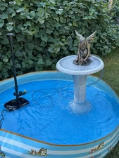 PENNINGTON AquaGarden In Pond / Fountain - 850 LARGE pond