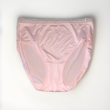 Breezies Nylon Hi Waste Panties Vintage