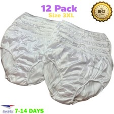 x12 Vintage Silky Nylon Underwear Sheer Transparent Lingerie White Briefs Pantie