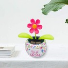 Foto 14 di 33