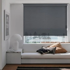 Changshade Window Blinds Curtains Room Darkening Light Filtering Roller Shades